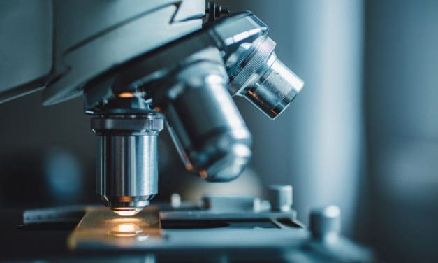 Unter der Lupe: TrustToken führt neues Prüfsystem für Stable Coins ein
