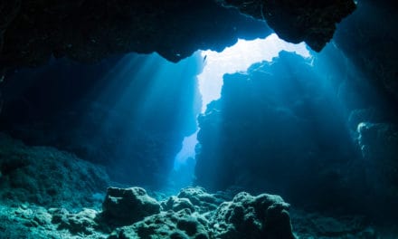 Wann geht es mit dem Bitcoin-Kurs wieder aufwärts? Die Delta-Kapitalisierung gibt Antworten