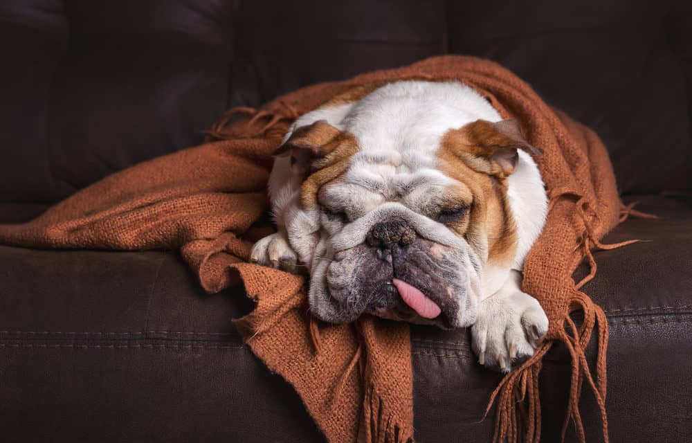 Bitcoin FUD – 5 Vorwürfe, die ein Bitcoin-Hodler nicht mehr hören kann