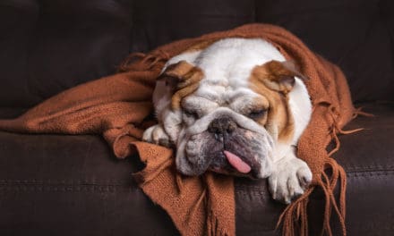 Bitcoin FUD – 5 Vorwürfe, die ein Bitcoin-Hodler nicht mehr hören kann