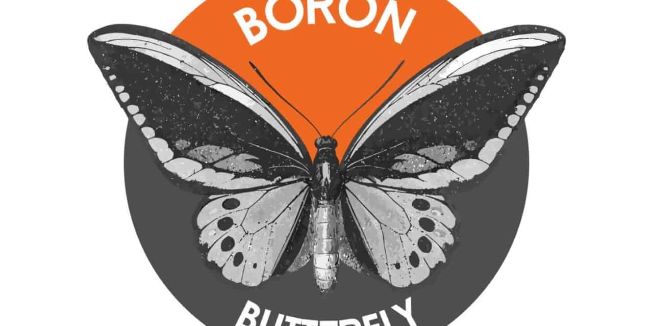 Monero Hard Fork: Boron Butterfly fliegt ASICs davon