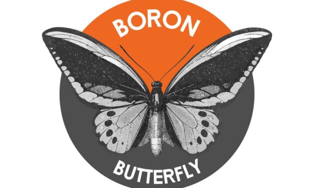 Monero Hard Fork: Boron Butterfly fliegt ASICs davon