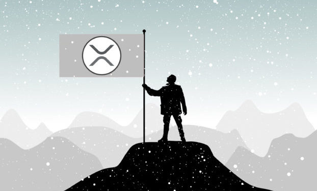 „Ripple to the moon!“ Beschäftigt das Unternehmen eine private XRP-Bot-Armee?