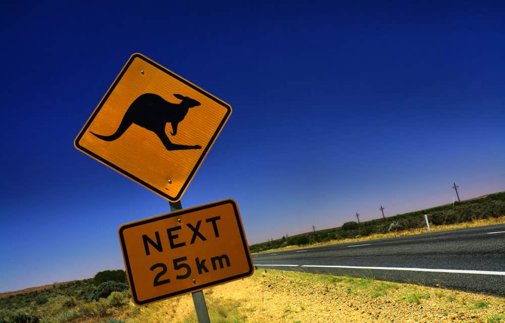 Frühstück mit Kängurus: Binance lanciert Cash-to-Crypto-Service in Down Under