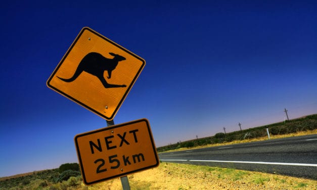 Frühstück mit Kängurus: Binance lanciert Cash-to-Crypto-Service in Down Under