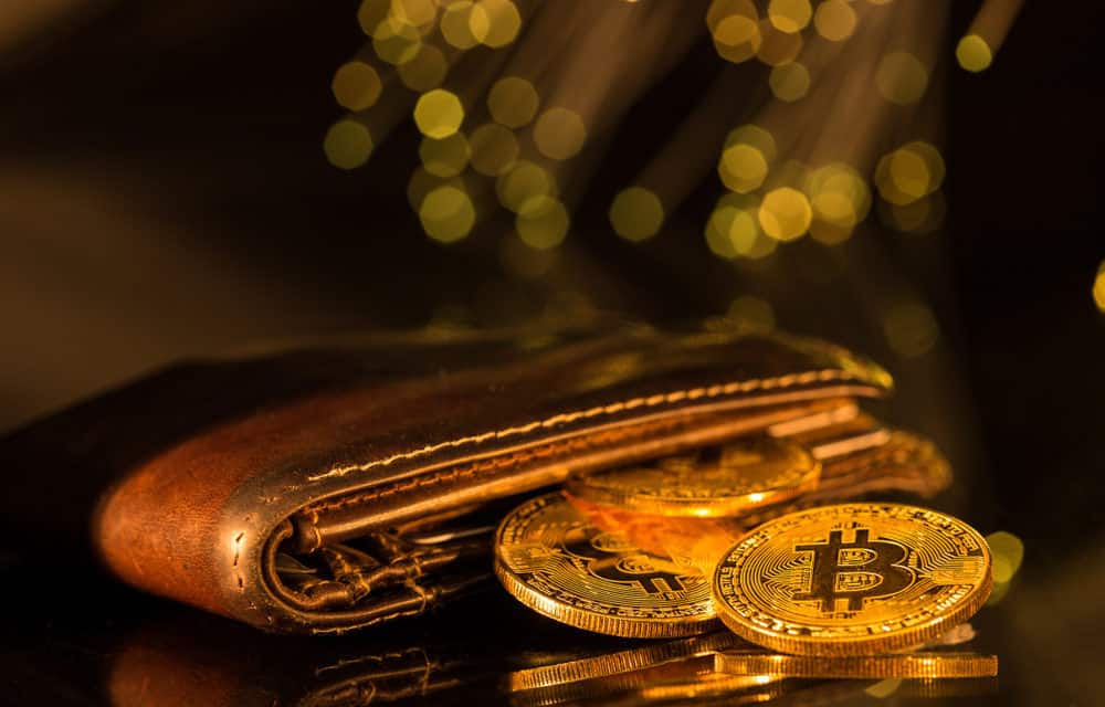 Der Hodl-Guide: 5 Arten von Bitcoin Wallets, die du kennen solltest