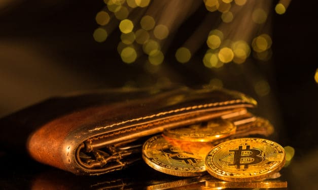 Der Hodl-Guide: 5 Arten von Bitcoin Wallets, die du kennen solltest