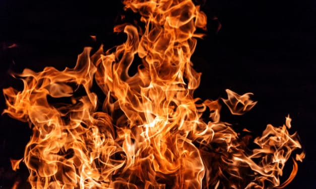 Bermuda bekommt ersten legalen Security Token namens FIRE
