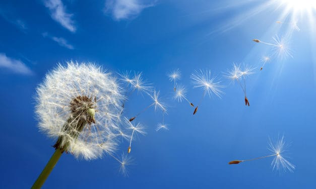 Der Bitcoin-Kurs steigt – was es zu wissen gibt. Die Lage am Mittwoch