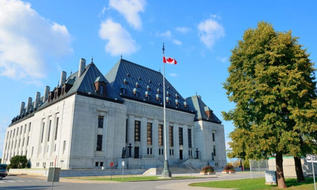 QuadrigaCX hat 400.000 US-Dollar gefunden, Insolvenz dennoch empfohlen