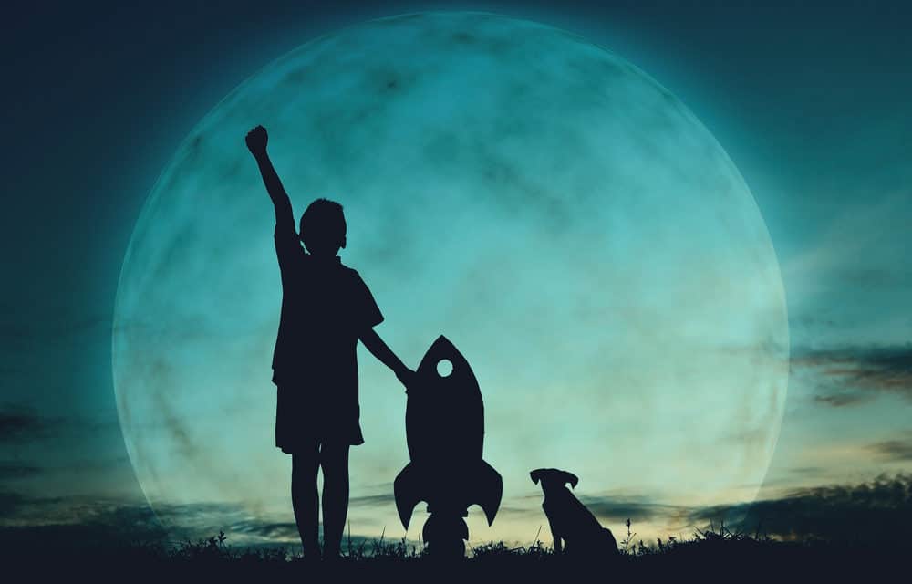 Internet do your thing: Die 5 besten Reaktionen auf die Bitcoin-Rallye