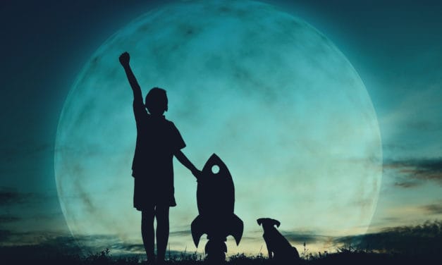 Internet do your thing: Die 5 besten Reaktionen auf die Bitcoin-Rallye