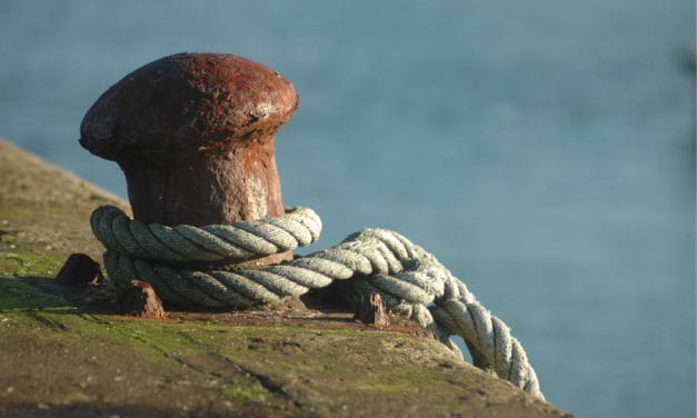 Coinsquare: Gebeutelte Bitcoin-Börse plant Stable Coin „eCAD“