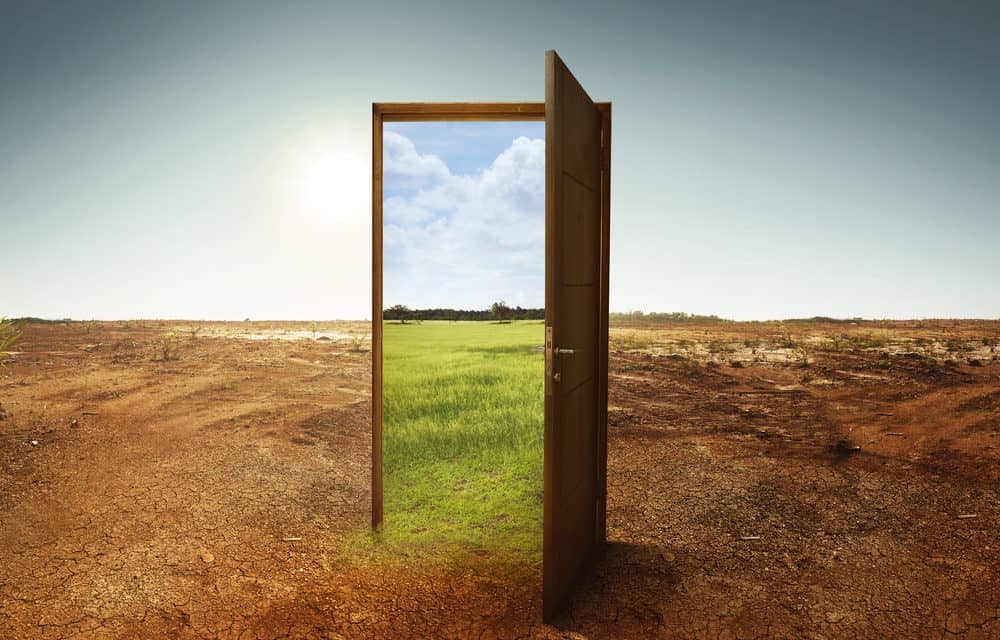 Neufund: CFO verlässt die ETO-Plattform, „aufregende Ankündigung“ soll folgen