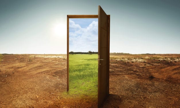 Neufund: CFO verlässt die ETO-Plattform, „aufregende Ankündigung“ soll folgen