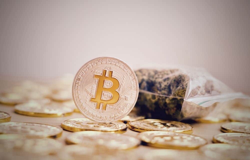 Keine Coins für Cannabis: HSBC verweigert Kauf von Bitcoin und friert Konto ein