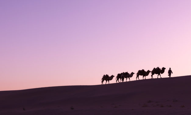 Gründer von Silk Road 2 verurteilt: Fünf Jahre Haft für Dread Pirate Roberts 2