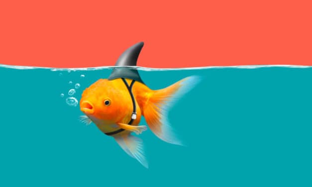 Wash Trading: Über 90 Prozent des Krypto-Handelsvolumen ist Fake