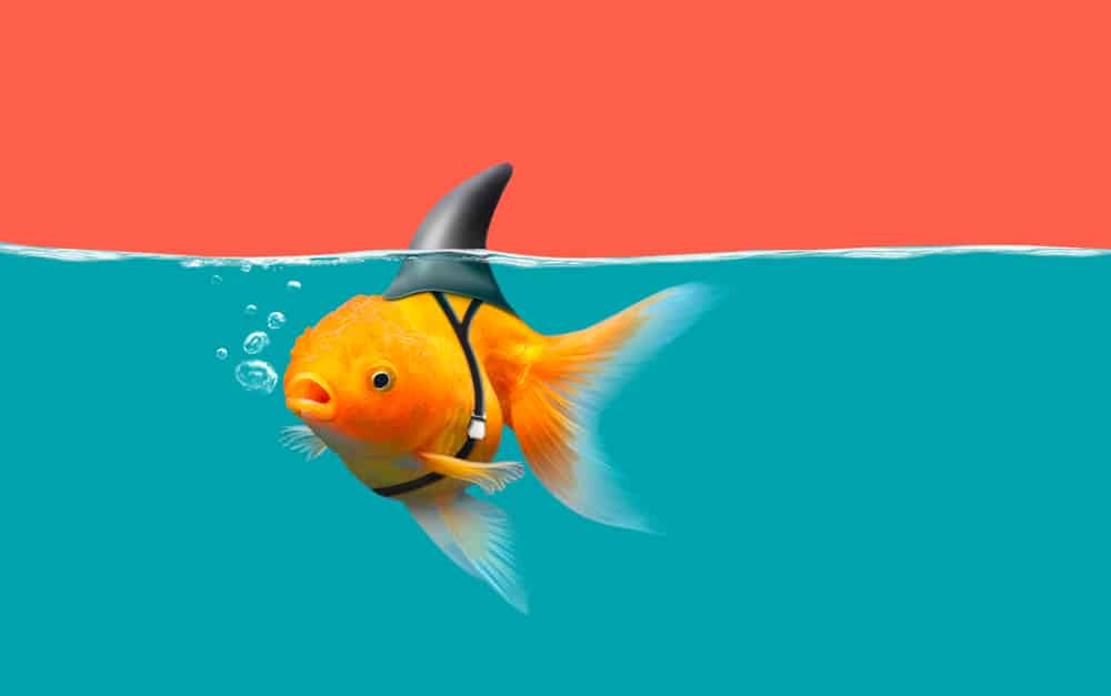 Wash Trading: Über 90 Prozent des Krypto-Handelsvolumen ist Fake