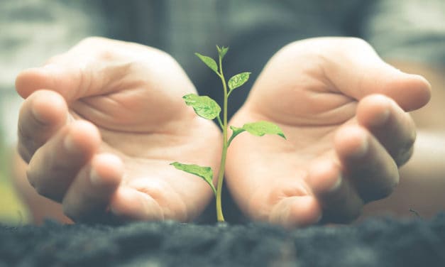 Mt.Gox-Gläubiger schöpfen neue Hoffnung: Kompensation auch ohne Antrag möglich