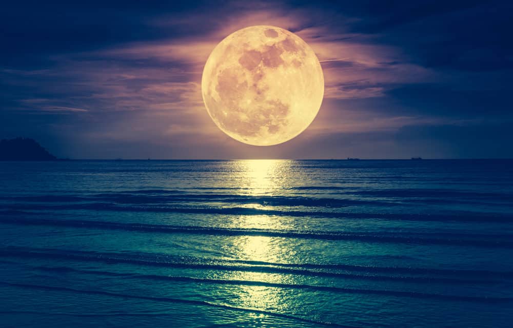 Mit Bitcoin Lightning auf Amazon bezahlen: Moon macht’s möglich