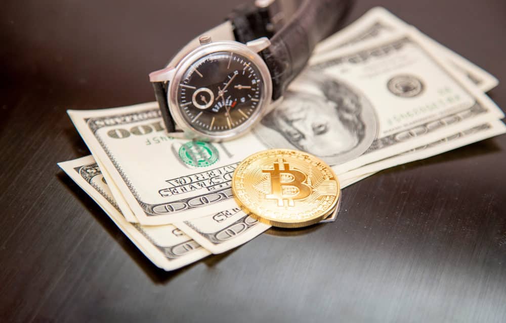 Fidelity: Interesse der Großinvestoren an Bitcoin wächst