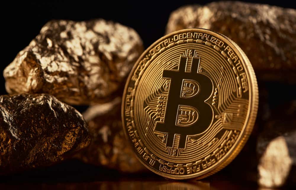 Bitcoin ist das neue Gold und die Krypto-Gemeinde umgarnt Elon Musk – Das Meinungs-ECHO