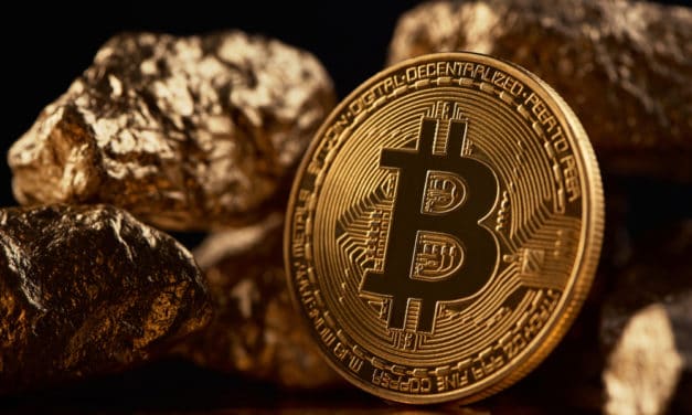 Bitcoin ist das neue Gold und die Krypto-Gemeinde umgarnt Elon Musk – Das Meinungs-ECHO