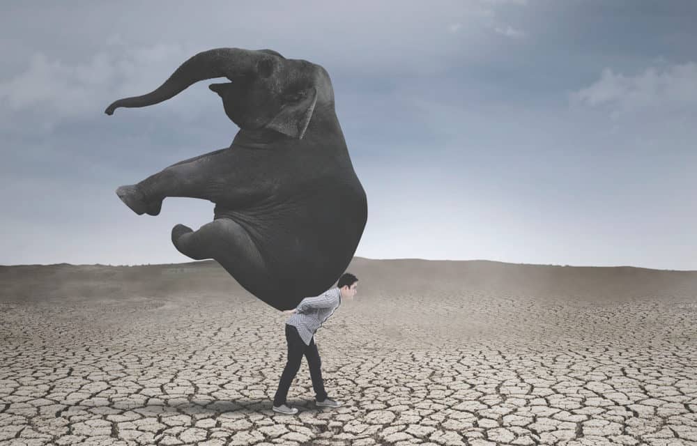 Deutschland wird die Lastschrift zur Last – Zeit für Bitcoin?