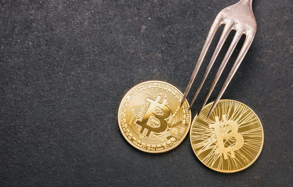 Bitcoin Cash (BCH): Hard Fork mit Schnorr-Signatur, vorerst ohne MultiSig