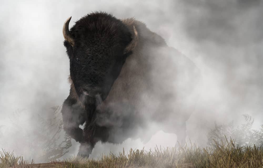 Podcast: Ist das der nächste Bull Run?