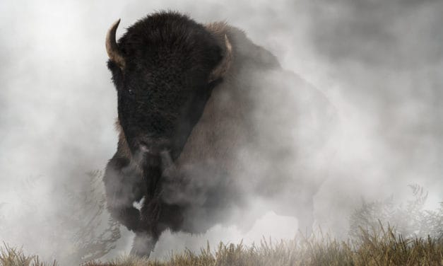 Podcast: Ist das der nächste Bull Run?
