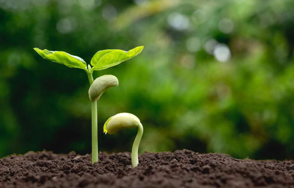 Framing wird positiv: Öffentlicher Diskurs legitimiert Bitcoin