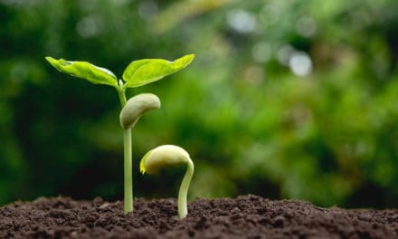 Framing wird positiv: Öffentlicher Diskurs legitimiert Bitcoin