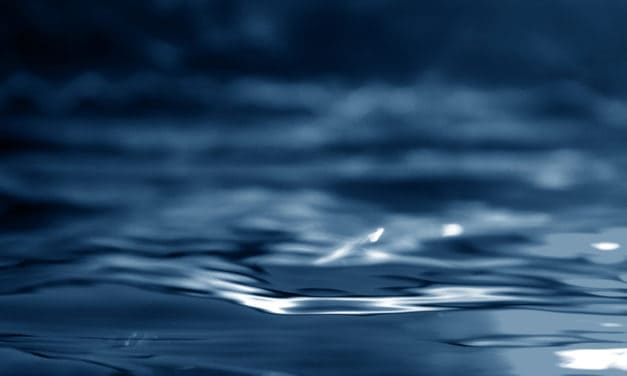 Schneller, sicherer und privater: TokenSoft und das Liquid Network im Bitcoin-Ökosystem