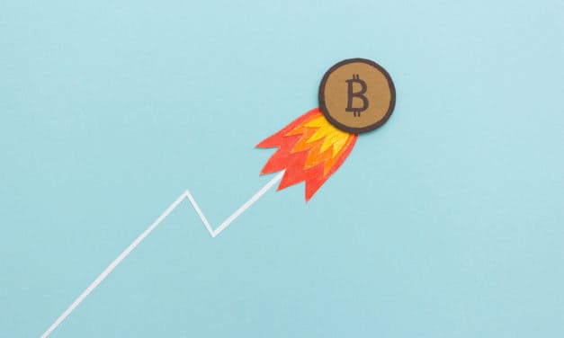 Von Nutzen und Wert: Welche Rolle der Bitcoin-Kurs bei der Adaption spielt