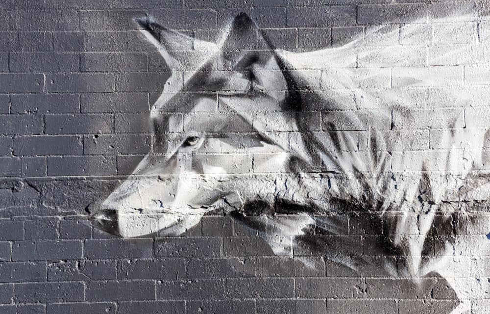 Pump and Dump: Wie Online-Gruppen ganz legal den Bitcoin-Markt manipulieren