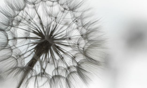 Bitcoin-Kurs zieht an, Blockchain breitet sich aus: Die Lage am Mittwoch