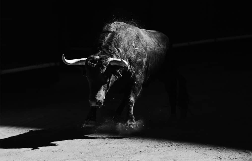 Bitcoin-Bullen gründen Krypto-Hedgefonds Adaptive Capital