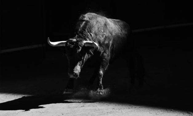 Bitcoin-Bullen gründen Krypto-Hedgefonds Adaptive Capital
