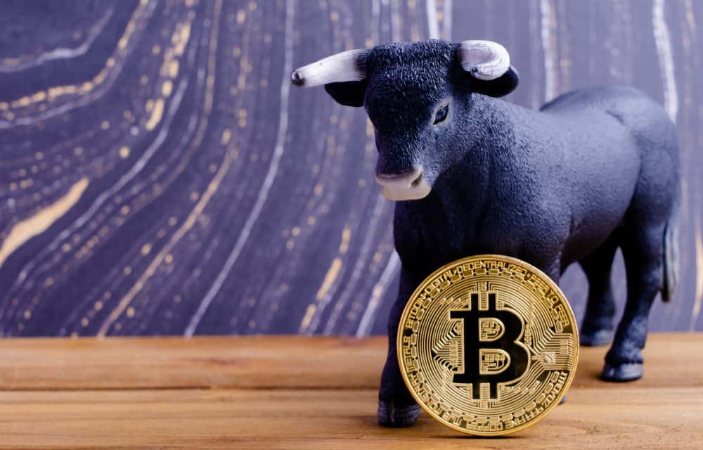 Bitcoin beliebter als Bieber und andere bullishe Signale