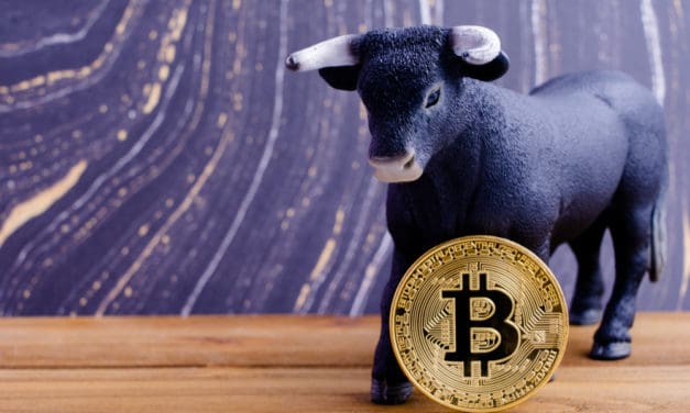 Bitcoin beliebter als Bieber und andere bullishe Signale