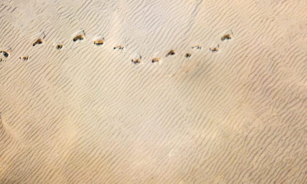 NEO 3: Das Upgrade kommt schrittweise