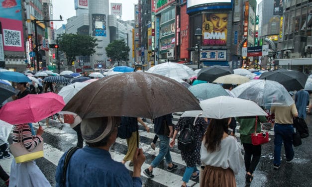 Bitcoin-Regulierung in Japan: Steuerflucht und Steuerzucht