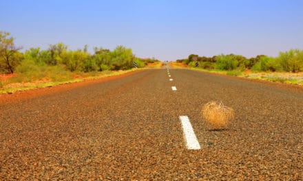 TenX-Updates und AMA: Viel Wind um nichts