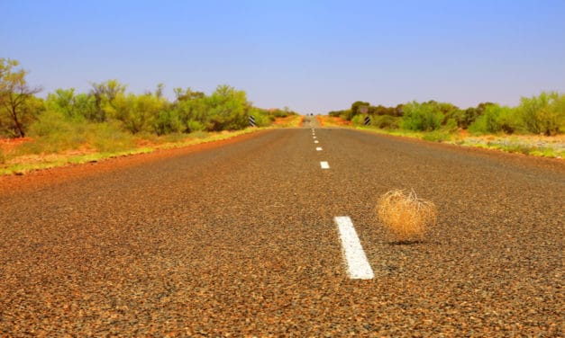 TenX-Updates und AMA: Viel Wind um nichts