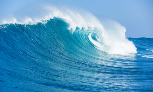 Waves-Plattform öffnet sich für dApps und Smart Contracts