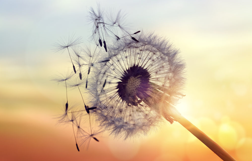 Craig Wright: 1,1 Millionen Bitcoin für immer verloren?