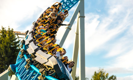 Bitcoin-Kurs explodiert – Die Volatilität ist zurück