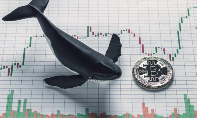 Bitcoin-Marktsentiment: Volatilität erreicht neue Höhen
